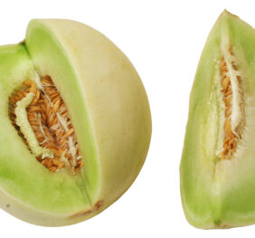 Melón Tuna fresco (Uni)