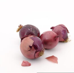 Cebolla morada (Uni)