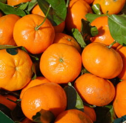 Clementina (1 KG)