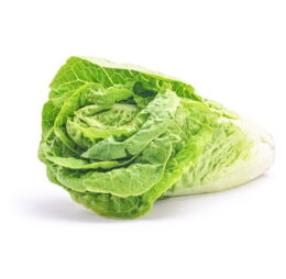 Lechuga Costina (Uni)