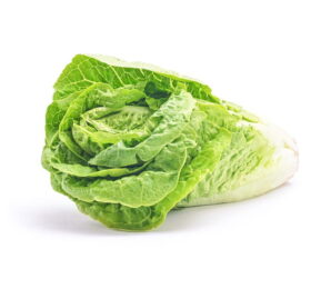 Lechuga Costina (Uni)