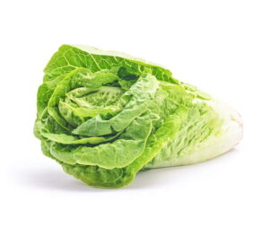 Lechuga Costina (Uni)