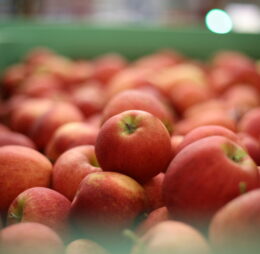 Manzana Pink Lady fresca (1 KG)