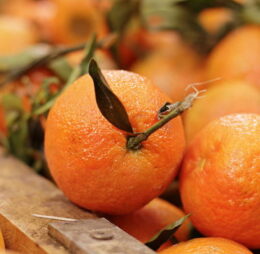 Naranja de mesa Chilena – Fruta fresca y jugosa (1 KG)