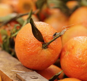 Naranja de mesa Chilena – Fruta fresca y jugosa (1 KG)