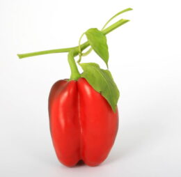 Pimentón Rojo (Uni)