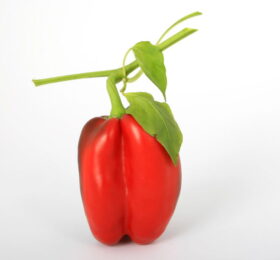 Pimentón Rojo (Uni)