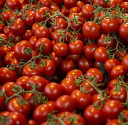 Tomate Cherry (1 KG)