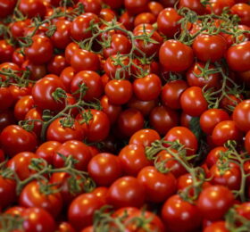 Tomate Cherry (1 KG)