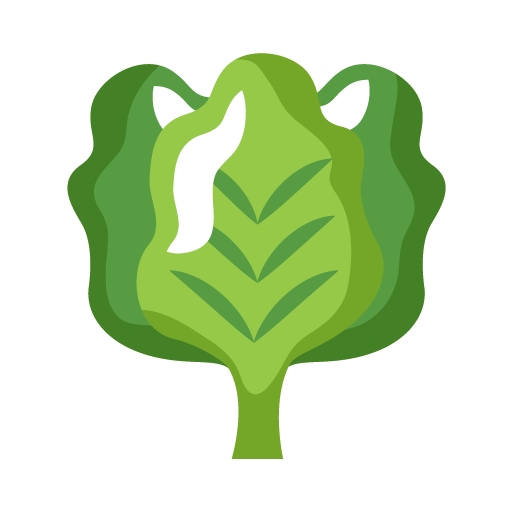 Verduras
