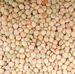 Lentejas (1 KG)