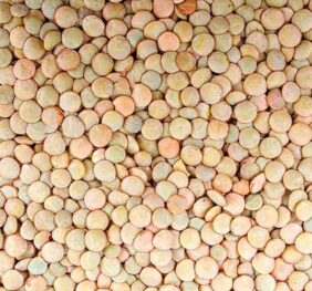 Lentejas (1 KG)