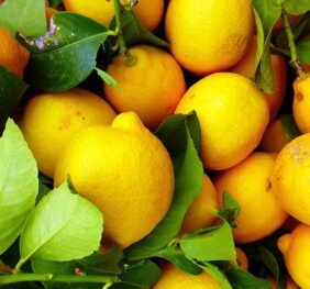 Limón (1 KG)