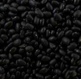 Porotos negros (1 KG)