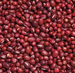 Porotos rojos (1 KG)