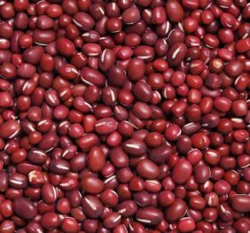 Porotos rojos (1 KG)